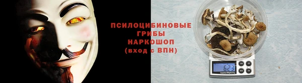 тгк Коряжма