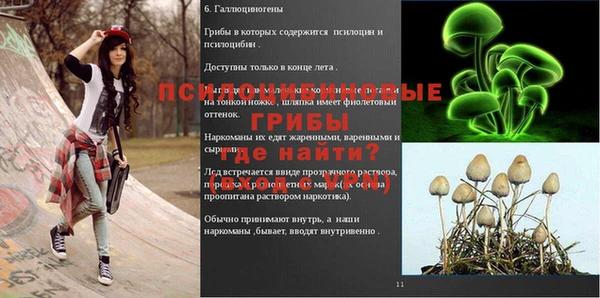дмт Корсаков