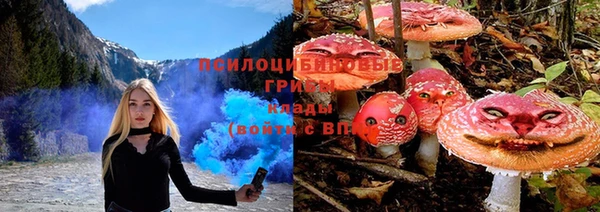 дмт Корсаков
