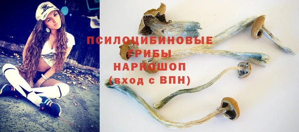тгк Коряжма