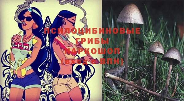 дмт Корсаков