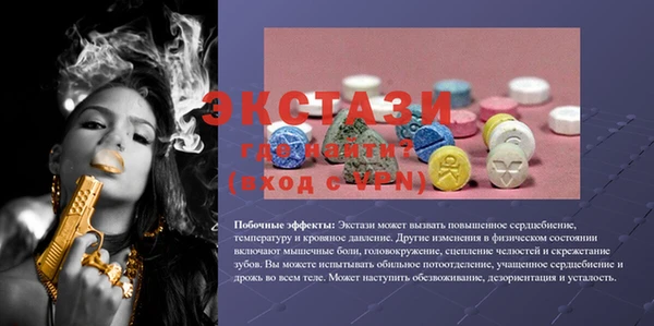 ECSTASY Краснослободск