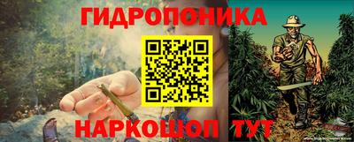 молекула духа Комсомольск-на-Амуре
